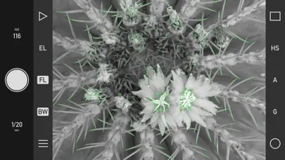 Technical Camera Screenshots