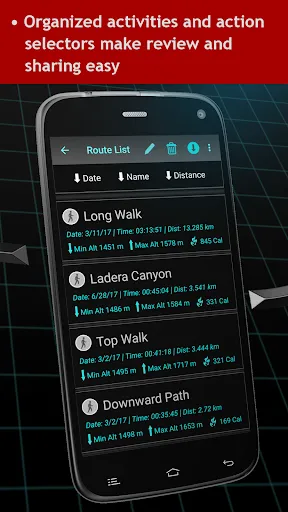 Walking Odometer Pro スクリーンショット