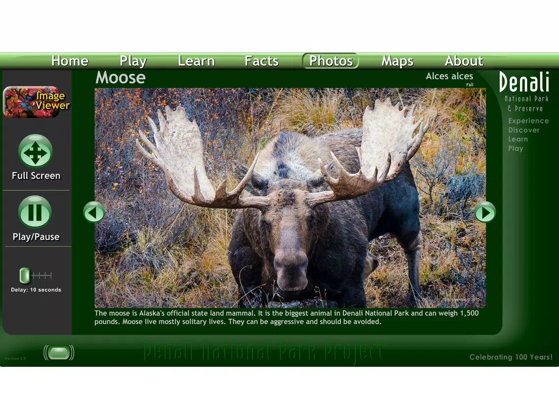 Denali National Park Project iPad  Ekran Görüntüleri