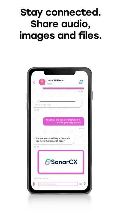 SonarCX agent workspace應用截圖
