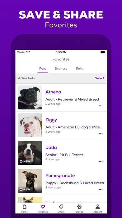 ภาพหน้าจอของ Petfinder - Adopt a Pet
