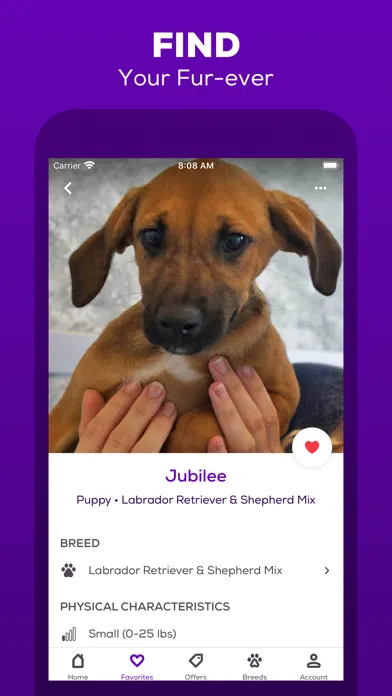 ภาพหน้าจอของ Petfinder - Adopt a Pet