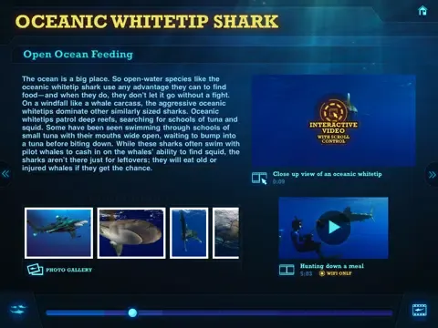 Tangkapan layar Ultimate Sharks Free iPad 