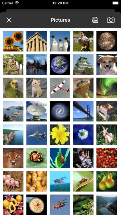 Picture Tile Slider Pro Screenshots