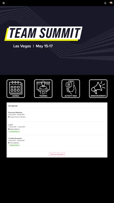 Screenshot di Team Summit