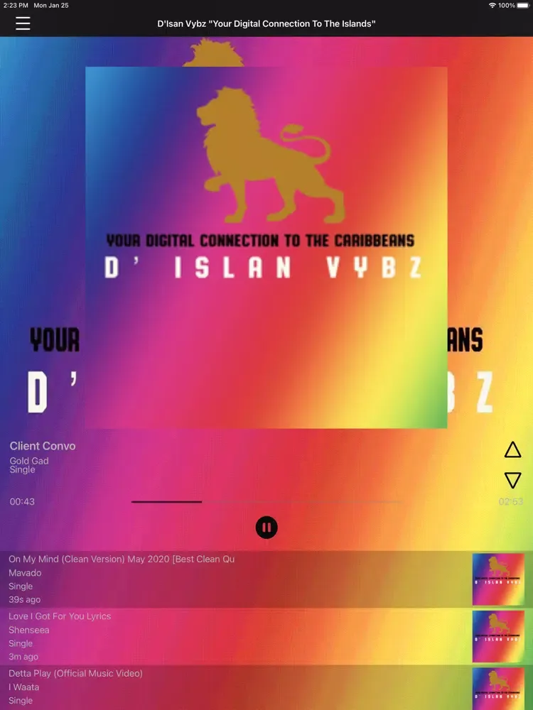 Capturas de pantalla de D Island Vybz iPad 