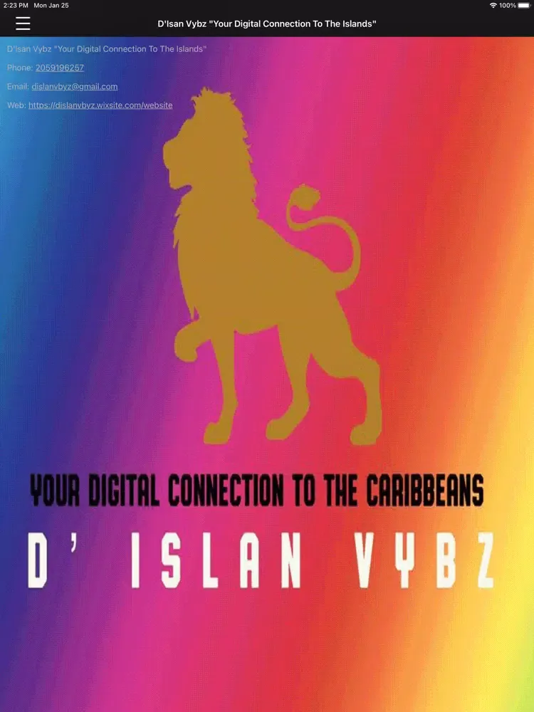 Capturas de pantalla de D Island Vybz iPad 
