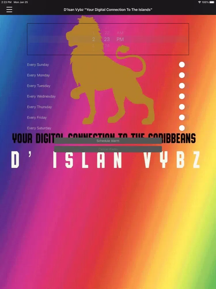 Capturas de pantalla de D Island Vybz iPad 