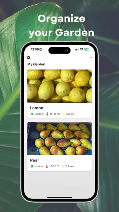 ภาพหน้าจอของ Flower Identifier - Petals