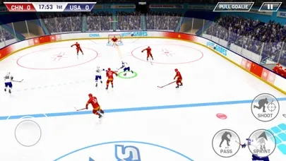 Ảnh chụp màn hình của Hockey All Stars