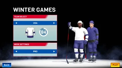 Ảnh chụp màn hình của Hockey All Stars