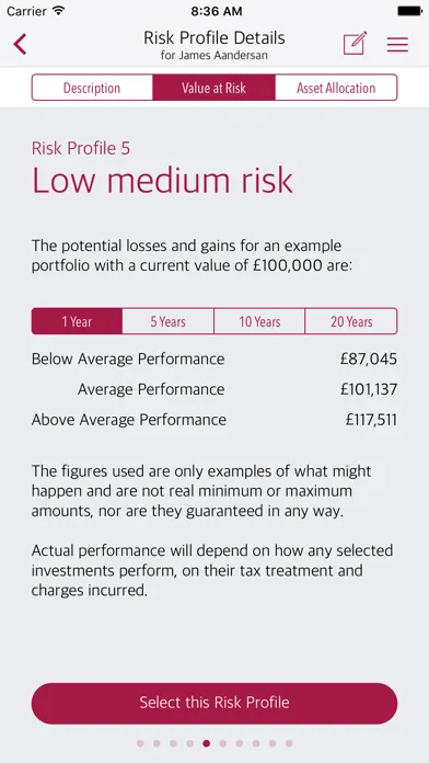Dynamic Planner: Risk Profiler Screenshots