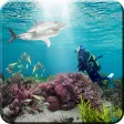 Shark Hunting Simulator
