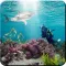 Shark Hunting Simulator