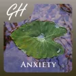Mindfulness Meditation for Releasing Anxiety