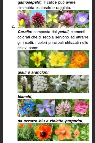 Captures d'écran de Cento piante da scoprire nell'Orto Botanico di Catania