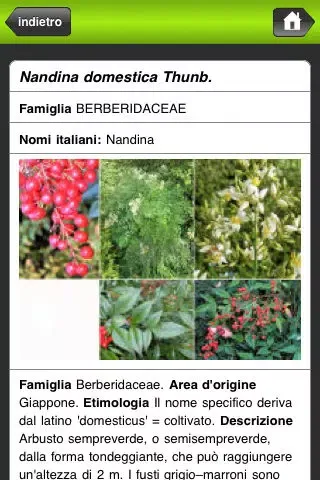Captures d'écran de Cento piante da scoprire nell'Orto Botanico di Catania