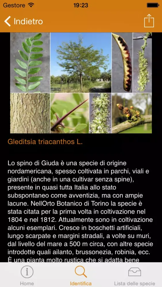 تصاویر Conoscere e riconoscere gli alberi dell’Orto Botanico di Torino