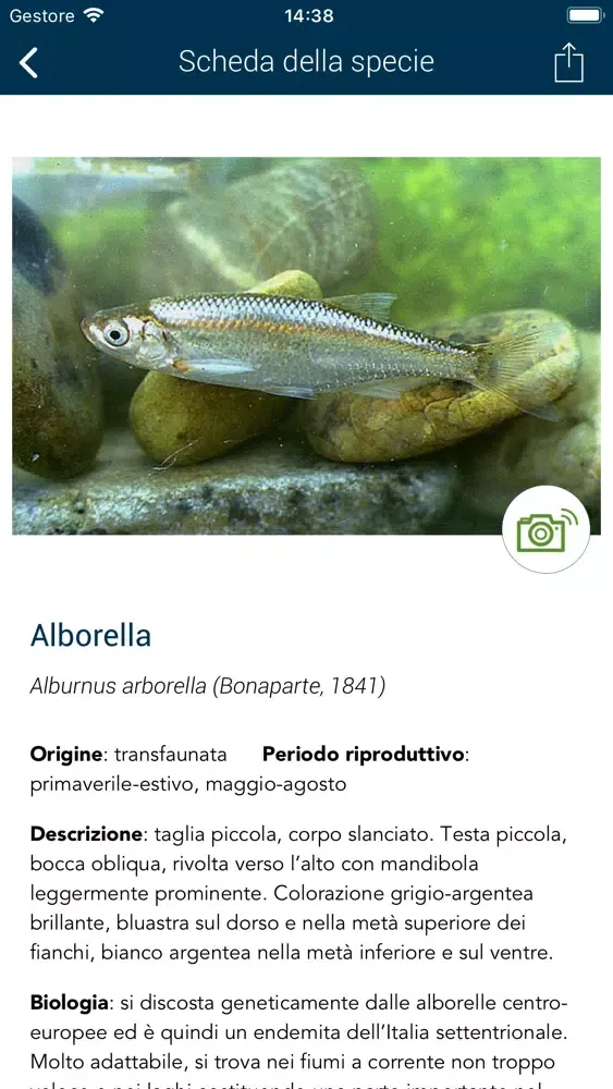 Captures d'écran de APPescaLazio