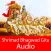 Bhagavad Gita Hindi Audio