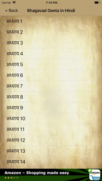 Bhagavad Geeta in Hindi Screenshots