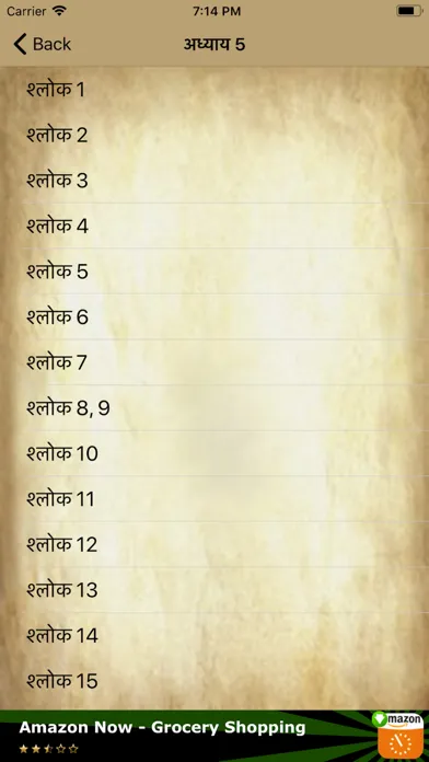 Bhagavad Geeta in Hindi Screenshots