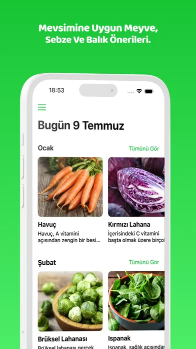 Tangkapan skrin Cuspart: Dört Mevsim