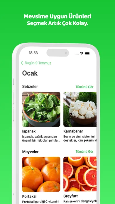 Tangkapan skrin Cuspart: Dört Mevsim