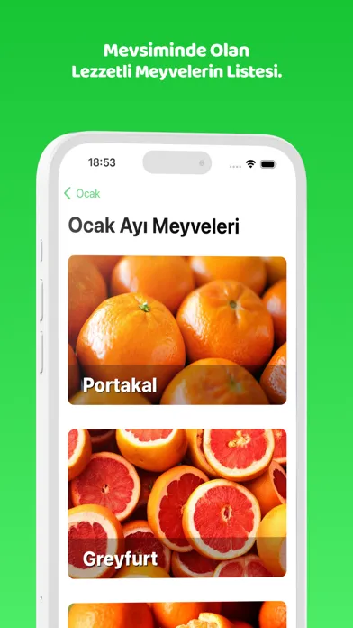 Tangkapan skrin Cuspart: Dört Mevsim