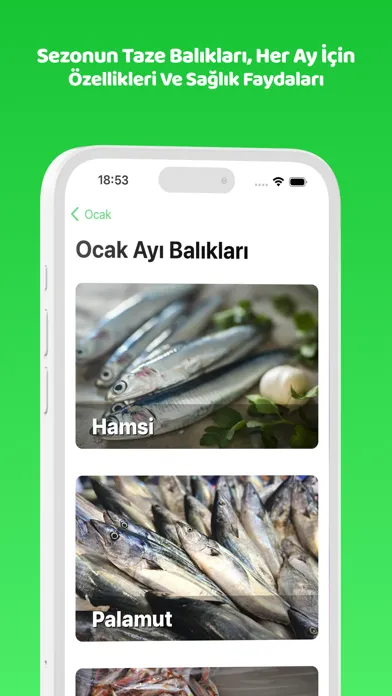 Tangkapan skrin Cuspart: Dört Mevsim