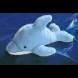 Maty: The Dolphin Who Plays The Piano