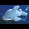 Maty: The Dolphin Who Plays The Piano