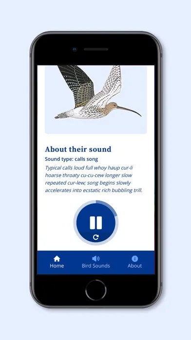 Screenshot di DK RSPB Bird Sounds