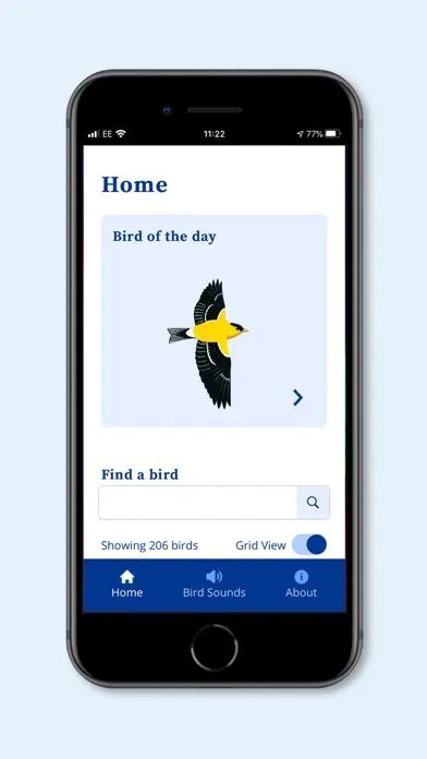 صور DK AMNH Bird Sounds