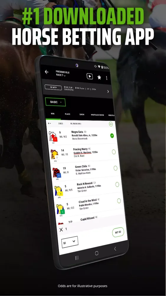 Screenshot di DK Horse