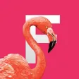 Flamingo Tropical Stickers