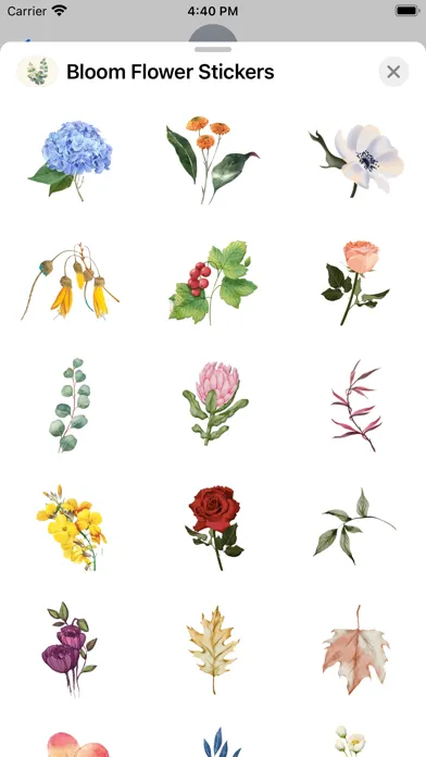 Bloom Flower Stickers應用截圖