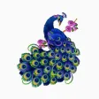 Mystery Peacock Stickers