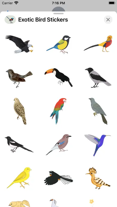 Zrzuty ekranu Exotic Bird Stickers