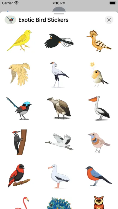 Zrzuty ekranu Exotic Bird Stickers