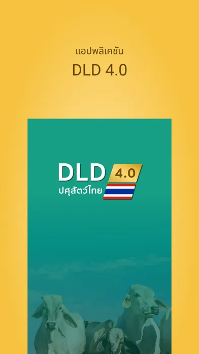 DLD4.0应用截图