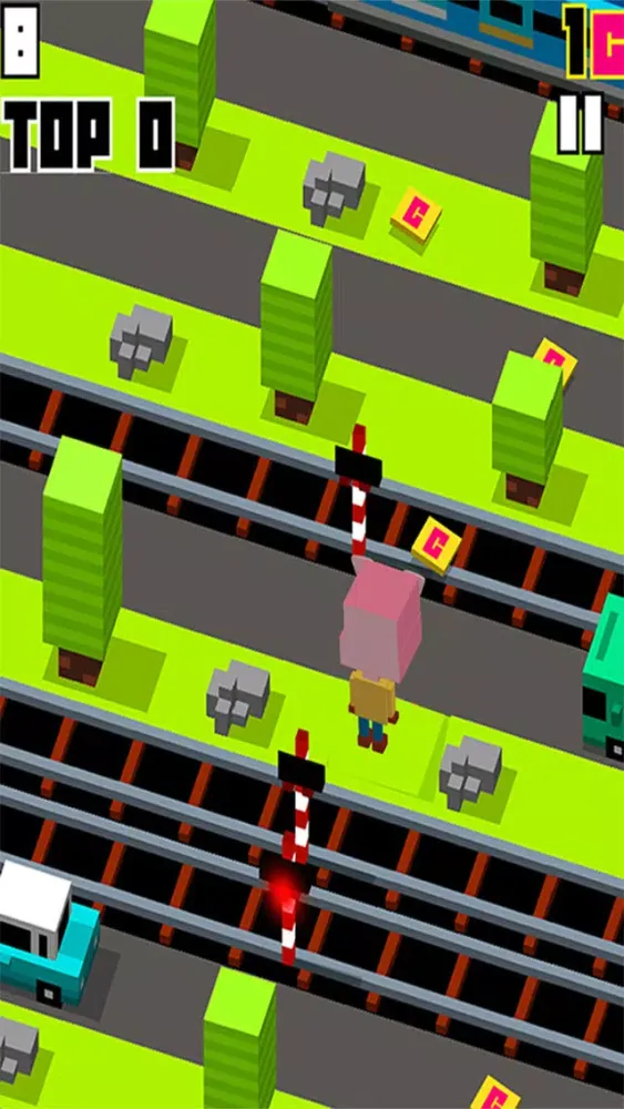 City Crossy Adventure For Pig Day स्क्रीनशॉट