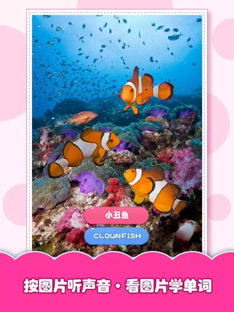 Baby Know 2 iPad 應用截圖