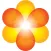 MYCITE®
