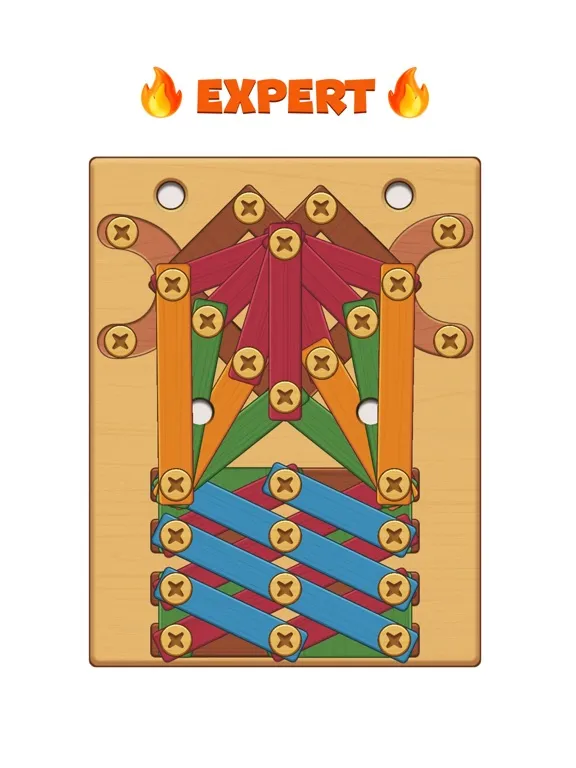 Nuts an Bolts: Unscrew Wood iPad 应用截图