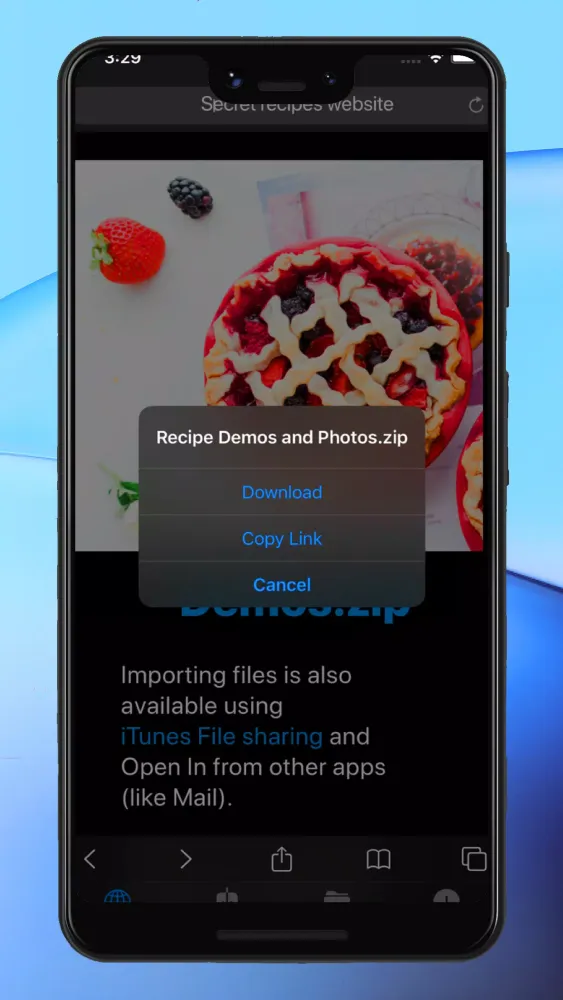 Guide For DManager Browser And Documents Screenshots