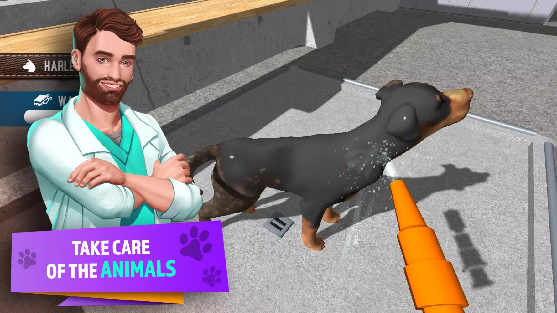 Animal Shelter Simulator Screenshots