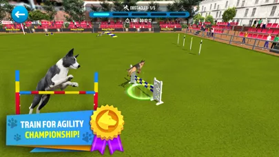 Screenshot di Animal Shelter Simulator