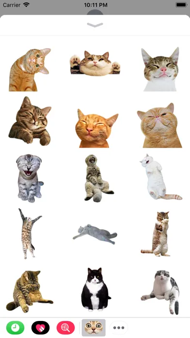 Ảnh chụp màn hình của Funny Cate