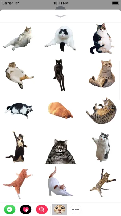 Ảnh chụp màn hình của Funny Cate